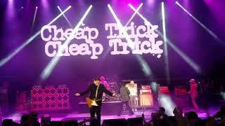 Cheap Trick - Hello There (LIVE)