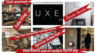 ଆମେରିକାରେ Parcel collect କେମିତି କରୁ ପୁରା Video ଦେଖନ୍ତୁ|Apartment Package Room@monalipsahub3919