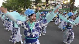 輪虹　第71回 よさこい祭り　追手筋本部競演場