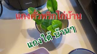 แกงคั่วไก่บ้าน แกงใต้บ้านๆ Ep.18 กินง่าย อยู่ง่าย@Family-ep2cb