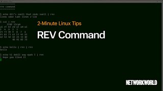 How to Use the rev Command in Linux (Reverse Text in Terminal!)