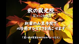 秋の寂光院（じゃっこういん）紅葉の山里寺院で 心を癒すひとときを過ごせます　４Ｋ