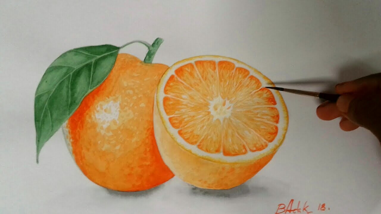 Orange Painting |how To Draw Orange Fruit By Water Color - YouTube