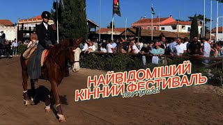 Feira da Golegã - найбільший ярмарок коней в Португалії