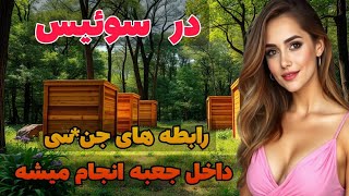 سفر جذاب به کشور رویایی سوئیس: قوانین عجیب و دست و پاگیر در سوئیس