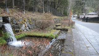 世界遺産「日光の社寺」裏道サイクリング・ツアー