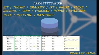 Day-3 | DATATYPES IN SQL | SQL DATATYPES | INTEGER | DECIMAL| VARCHAR | STRING | DATETIME