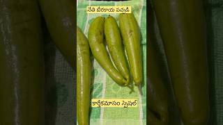 నేతి బీరకాయ పచ్చడి#కార్తీకమాసం special without onion and garlic#Nethi Beerakaya chutney in Telugu