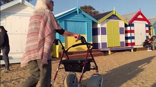 Introducing the Push Mobility Beach Walker