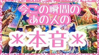 【恋愛】今この瞬間のあの人の本音💝今後どんな行動をする？全人類対象リーディング💞アルケミアタロットで占います🧸