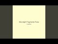 Moonlight Fragments Pulse