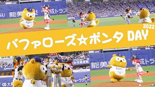 7/23(土)「バファローズ☆ポンタ DAY 2022」ダイジェスト