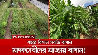 কুখ্যাত মাদকসেবীদের আড্ডাখানায় গড়ে উঠেছে সবজি বাগান | Brazil Garden