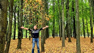 Ruduo Panevėžio kultūros ir poilsio parke | Autumn in Panevezys park #autumn #panevezys #lithuania