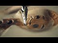 ASMR Painting wood with a  dip pen (light scratch)