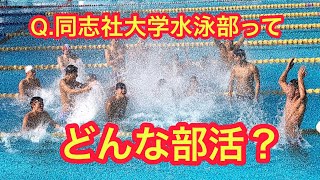 【紹介】同志社大学水泳部ってどんな部活？