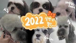 2022년 상반기 ASMR영상 몰아보기 | 그루밍공식시즌2 EP09 | Dog Grooming