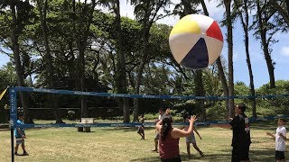 Giant Beach Ball vs. Spectrum Classic Volleyball Net