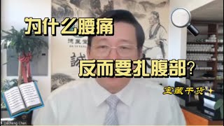 陈德成：为什么腰痛反而要扎腹部？腰痛治腹揭秘，腰大肌、髂肌、髂腰肌损伤