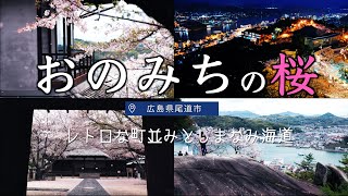 おのみちの桜 レトロな町並みとしまなみ海道