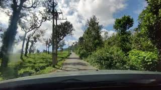 Drive from Pooppara town to Avadale Munnar