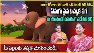 Ramaa Raavi : Panchatantra Nithi kathalu | Ramaa Raavi Best Moral Stories | SumanTV Anchor Jaya