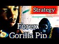 Forex Gorilla Pip Strategy + Falcon FX || (Phase 1/5) 🦍💰