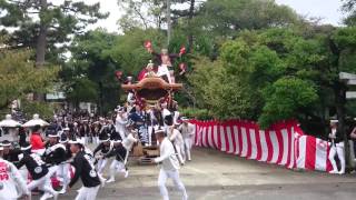 岸和田だんじり祭 西之内町(南掃守地区) 兵主神社宮出