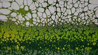 (409) ACRYLIC POURING - Swipe Technique and Mixing of Paint Using a Scale FLUID ART
