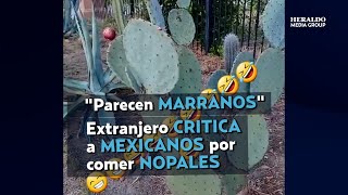 Extranjero CRITICA a los MEXICANOS por comer NOPALES