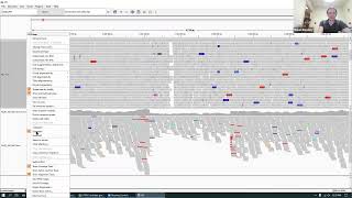 IGV Tutorial