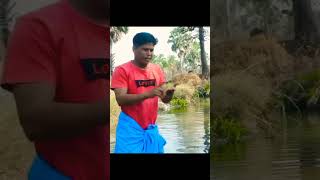 മുതലയുടെ കാര്യത്തിൽ ഒരു തീരുമാനമായി 🤣🤣#shorts #short #malayalam #funny