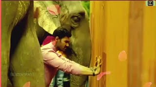 Belamkonda Sriniwas And Kajal Agarwal Video||Sita Ram Movie Best Scene || Positive Think Video
