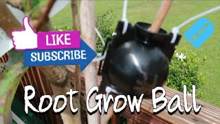 Root Box Growing Ball/Product Review/Airlayering /Leadfarmer73  Said I could do it