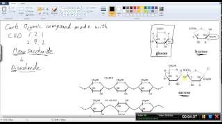 Biology A - 2.12 and 2.13 Simple and Complex Carbohydrates