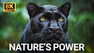 Wildlife’s Untold Secrets | 4K HDR Dolby Vision