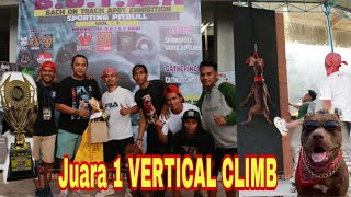 LOMBA VERTICAL CLIMB PITBULL ‼️ MUSSO JUARA 1 lagi