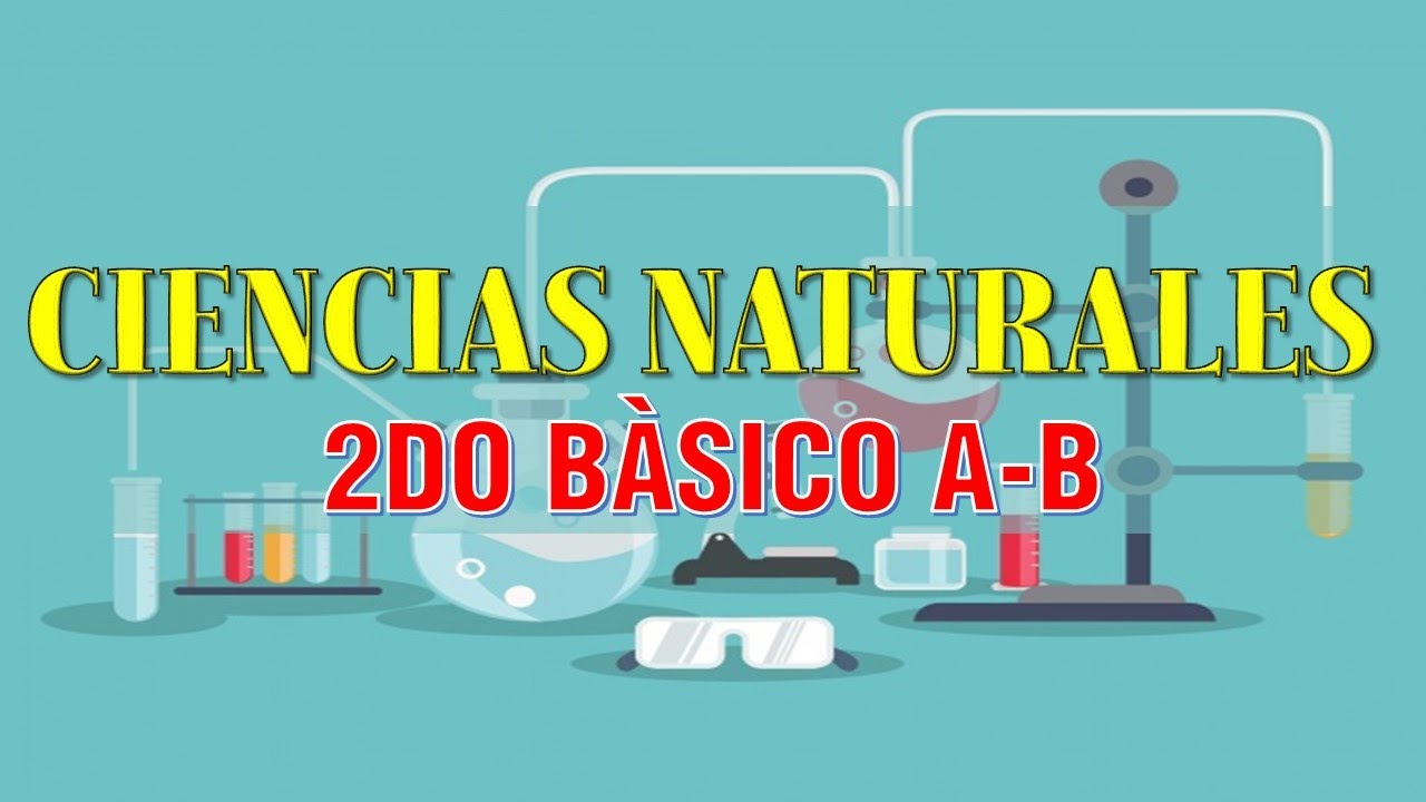 2DO BÁSICO A-B - CIENCIAS NATURALES - CLASE 4 - 26 MAYO - YouTube