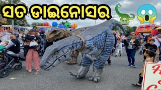 ଅନନ୍ୟା କୁ ବିଲକୁଲ୍ ଡର ଲାଗିଲାନି ।#odiavlog