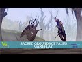 Decay of Logos - Sacred Grounds of Palus Gameplay | Gamescom 2019