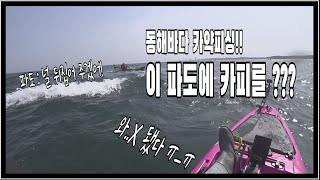 동해의 거친 파도에서 카약피싱 하고  활우럭 회 떠먹고 왔습니다.(중국산 카약의 한계는 어디인가!!)