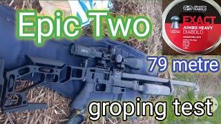 PCP Epic Two Air Rifle groping Test with. 22 jsb 18.13 pellet