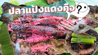 ปลาแป้งแดง คืออะไร | อิ่มอ่ะตูม