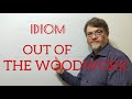 English Tutor Nick P English Idioms (358) Come or Crawl Out of the Woodwork