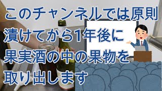 説明動画!漬けた果実酒の果肉を取り出す時期について(原則には漬けてから1年後に取り出します)