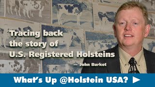 What's Up at Holstein USA: Tracing back the story of U.S. Registered Holsteins