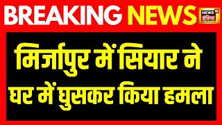 Breaking News: UP के Mirzapur में सियार ने घर में घुसकर 7 लोगों पर किया हमला | News18India