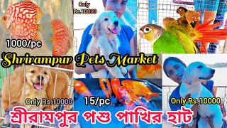 Shrirampur Poshu Pakhir Hat || শ্রীরামপুর পশু পাখির হাট #vlog #youtubevlog #pets #serampore #viral