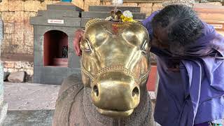 Vanamali Mataji visiting Kedareshwara Temple  - #vanamaliontour