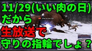 【FF11狼鯖】いい肉の日だから守りの指輪チャレンジ（出すとは言ってない）【生配信】